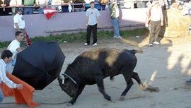 Imagem de Tourada � Corda - Casa do Pessoal da RTP-A�ores / Continente